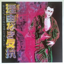 ANDY WARHOL ESTATE RARE LITHOGRAPH PRINT REBEL WITHOUT A CAUSE JAMES DEAN 1985