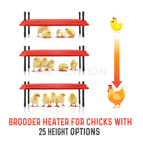Chick Brooder Heating Plate Warmer Chicken Coop Brooding Heater Poultry Duckling - Picture 7 of 61