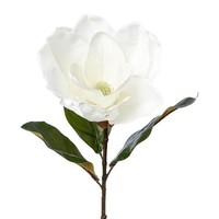 Artplants Kunstblume Magnolie Wonger, Weiß, 70Cm