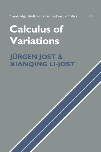 Calculus of Variations: 64 (Cambridge Studies in Advanced Mathematics, Series Number 64) - Image 2