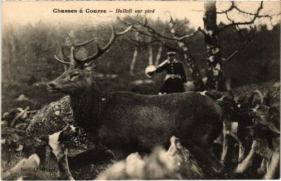 Carte Postale Ancienne Chasse à Courre Sud-Ouest – Sport Traditionnel (a35005)