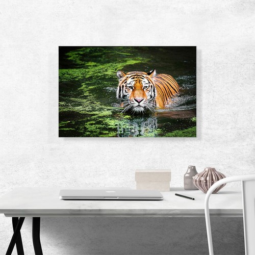 ARTCANVAS Tiger Swimming in Swamp Canvas Art Print - Picture 2 of 11