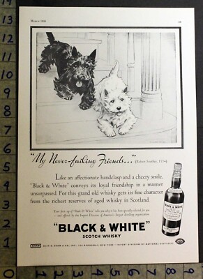 1936 BLACK WHITE SCOTCH WHISKEY WEST HIGHLAND TERRIER DOG MORGAN