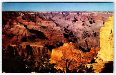View from Powell Point Grand Canyon Arizona Fred Harvey Postcard