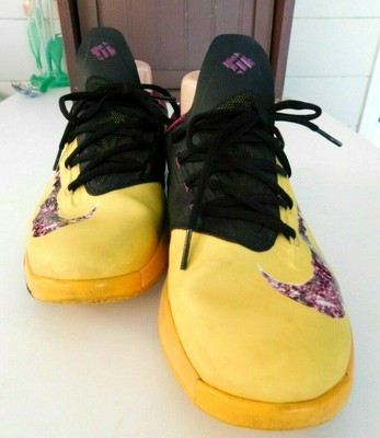 peanut butter and jelly kd shoes