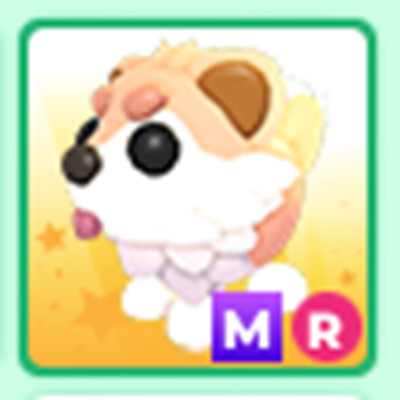 MR Cryptid - The Trusted Store!!