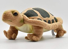 Turtle No.3816 NEW