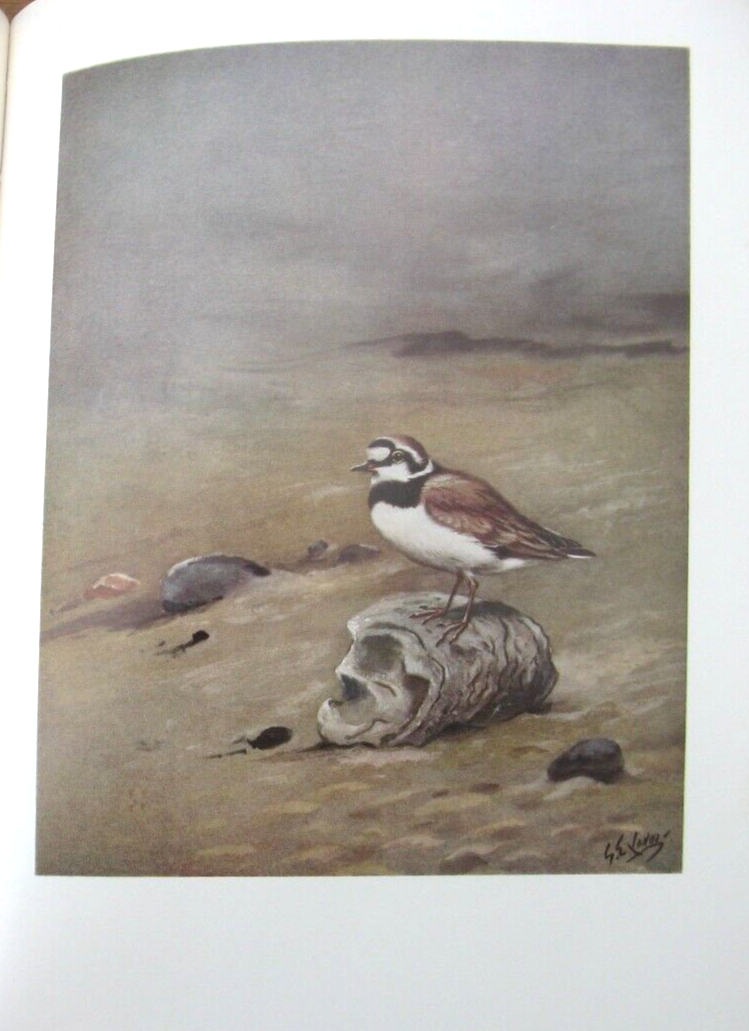 Bild 11 von 21