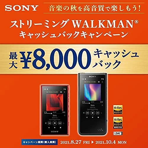 SONY WALKMAN 16GB Hi-Res A Series Audio Player NW-A105 Black