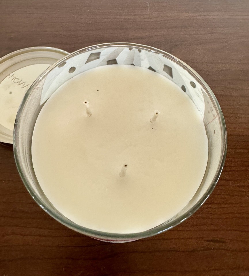 2024 VHTF Snowed in Bath & Body Works 3 Wick