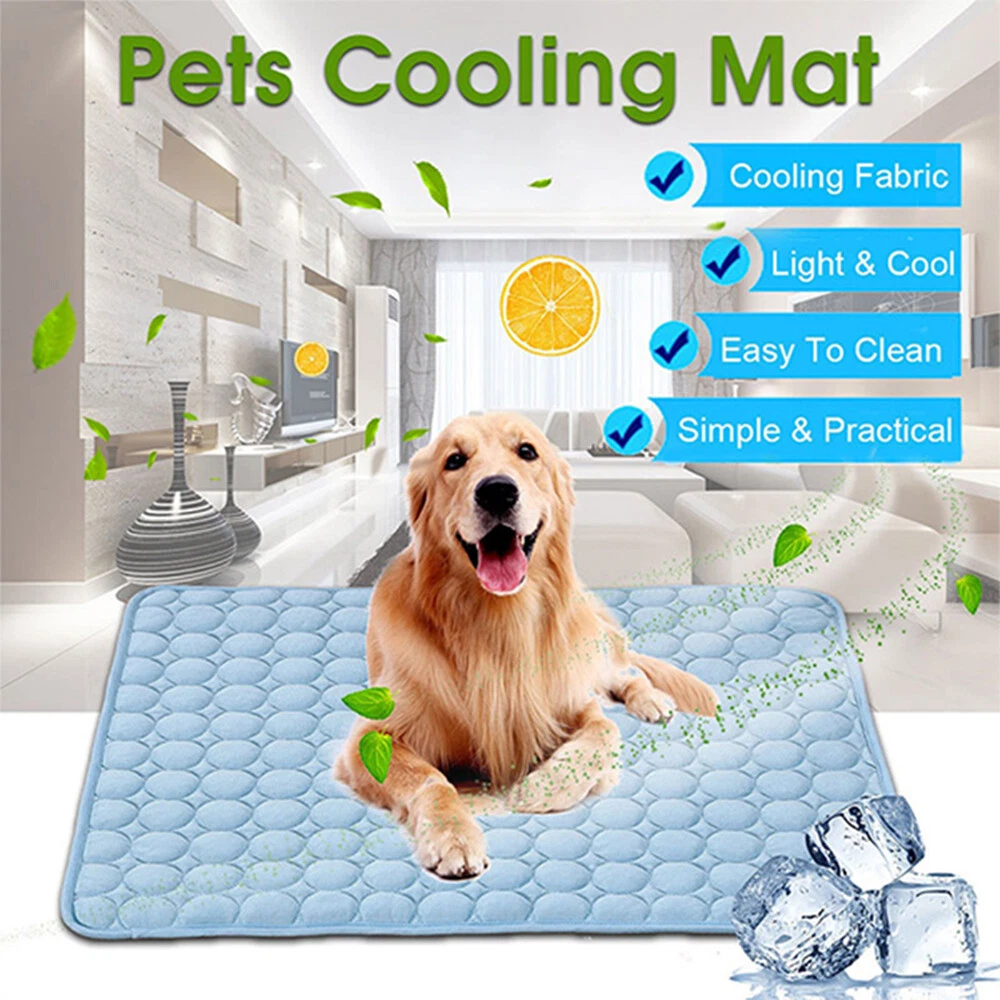 Pet cooling store mat near me