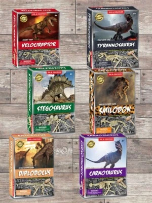 DIG AND DISCOVER Dinosaurier-Fossil-Set ausgraben und zusammenbauen - archäologisches Spielzeug - Auswahl an Dinosauriern