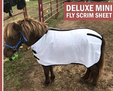 Miniature Horse Nylon Mesh Fly Sheet - White -Sizes 36" up to 50"