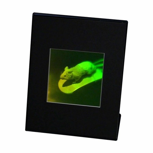 Mouse 3D Multicanal Holograma Imagen SOPORTE DE ESCRITORIO, Película de Fotopolímero Polaroid - Imagen 3 de 7