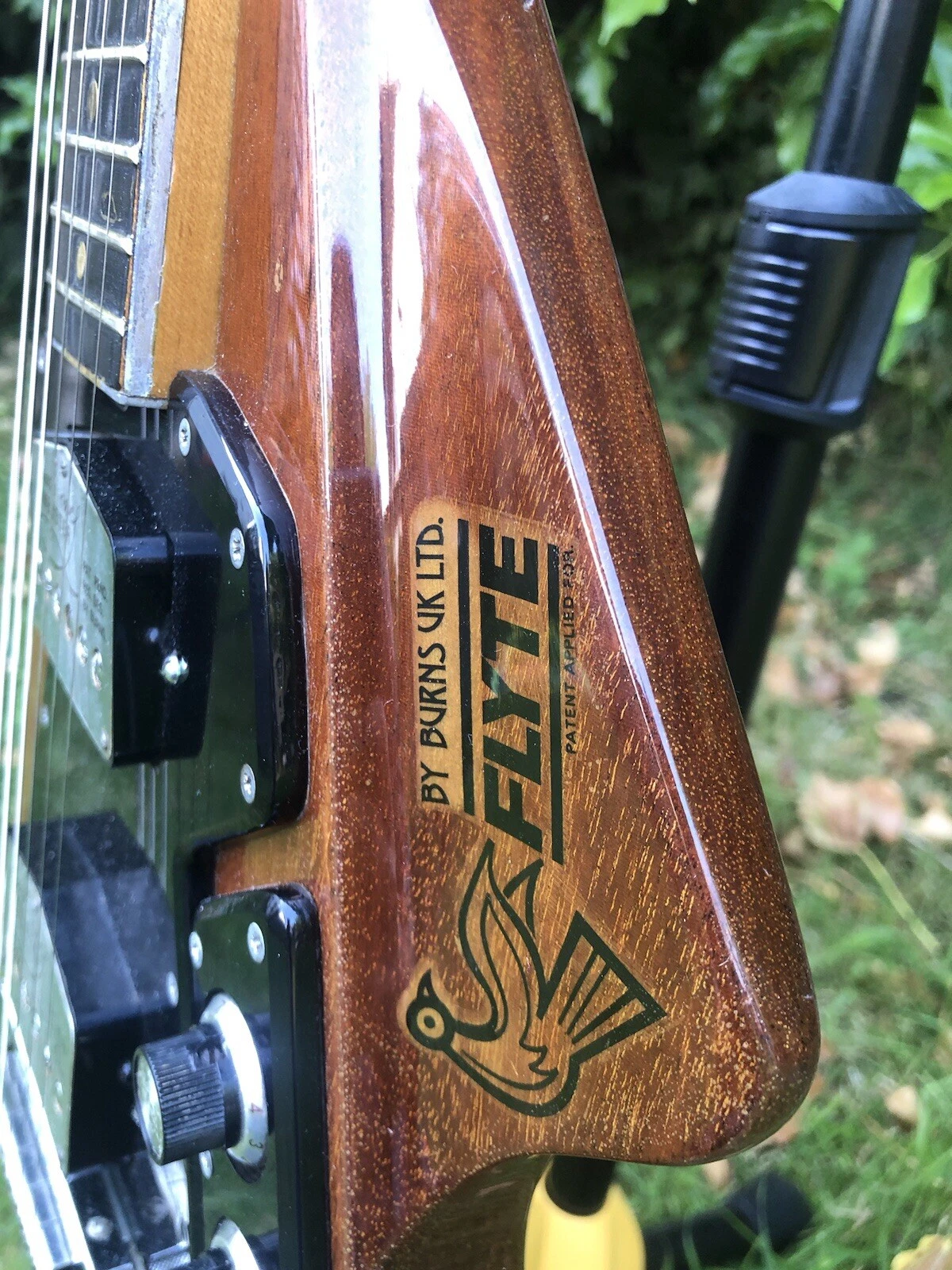 Picture 5 of 21