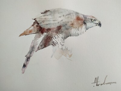 Hawk,  Birds, Watercolor artwork, Handmade, Original painting on paper