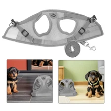  1 Set Dog Harness And Leash Set - Mesh Adjustable Pet Vest Harness With
