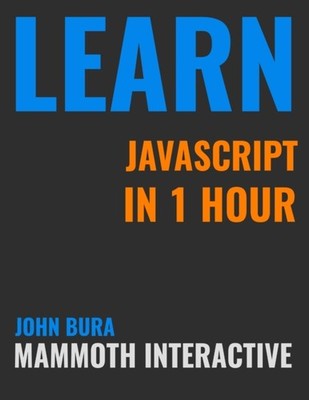 Bura - Learn Java Script In 1 Hour - New paperback or softback - X555z