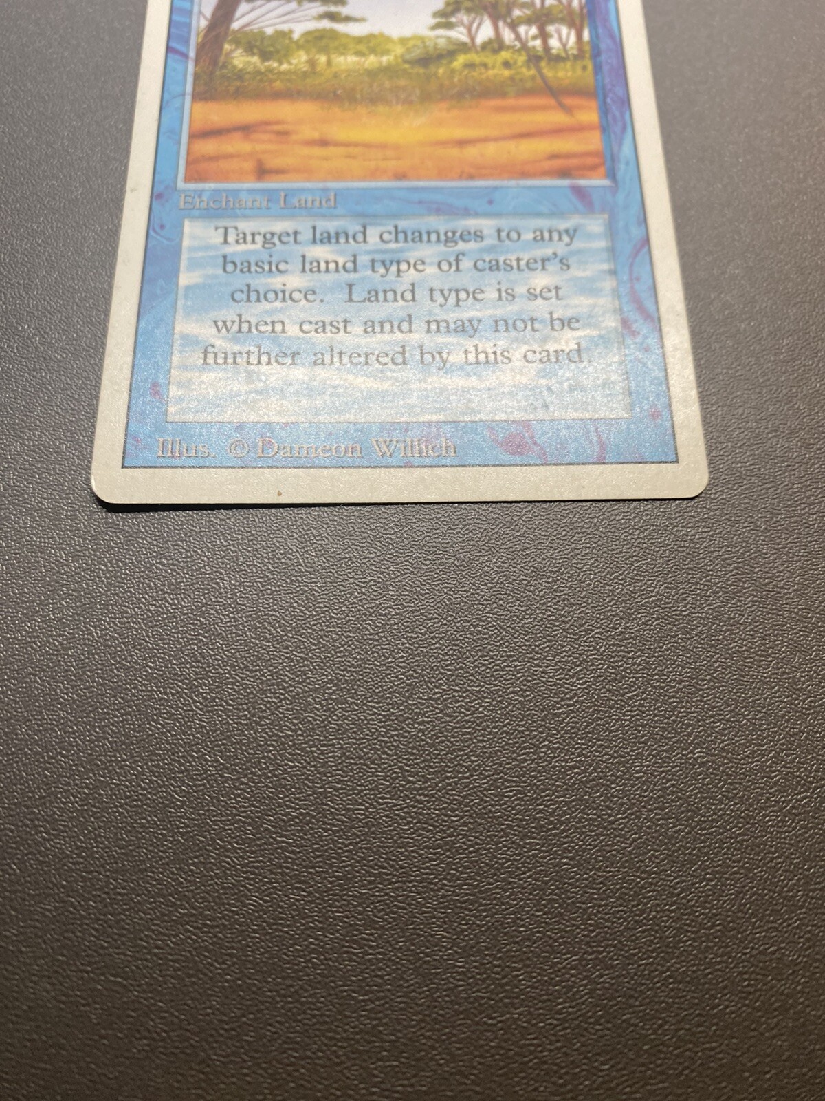 Picture 2 of 12