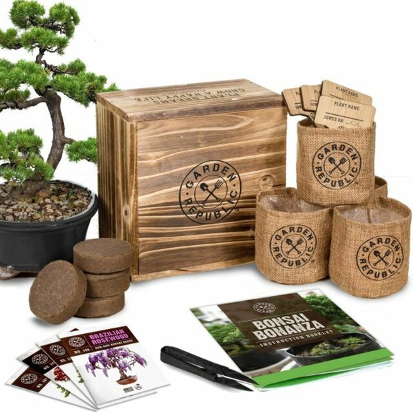 GARDEN REPUBLIC Bonsai Tree Seed Starter Kit for sale online eBay