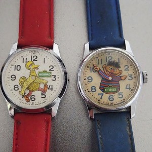 Big Bird Watch | eBay