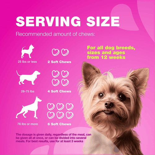 Dog UTI Treatment Dog Cranberry Supplement for Bladder Kidney Health Urinary - Bild 8 von 9
