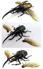 All 3 Hercules Beetle Figures Set Creature Encyclopedia Advance