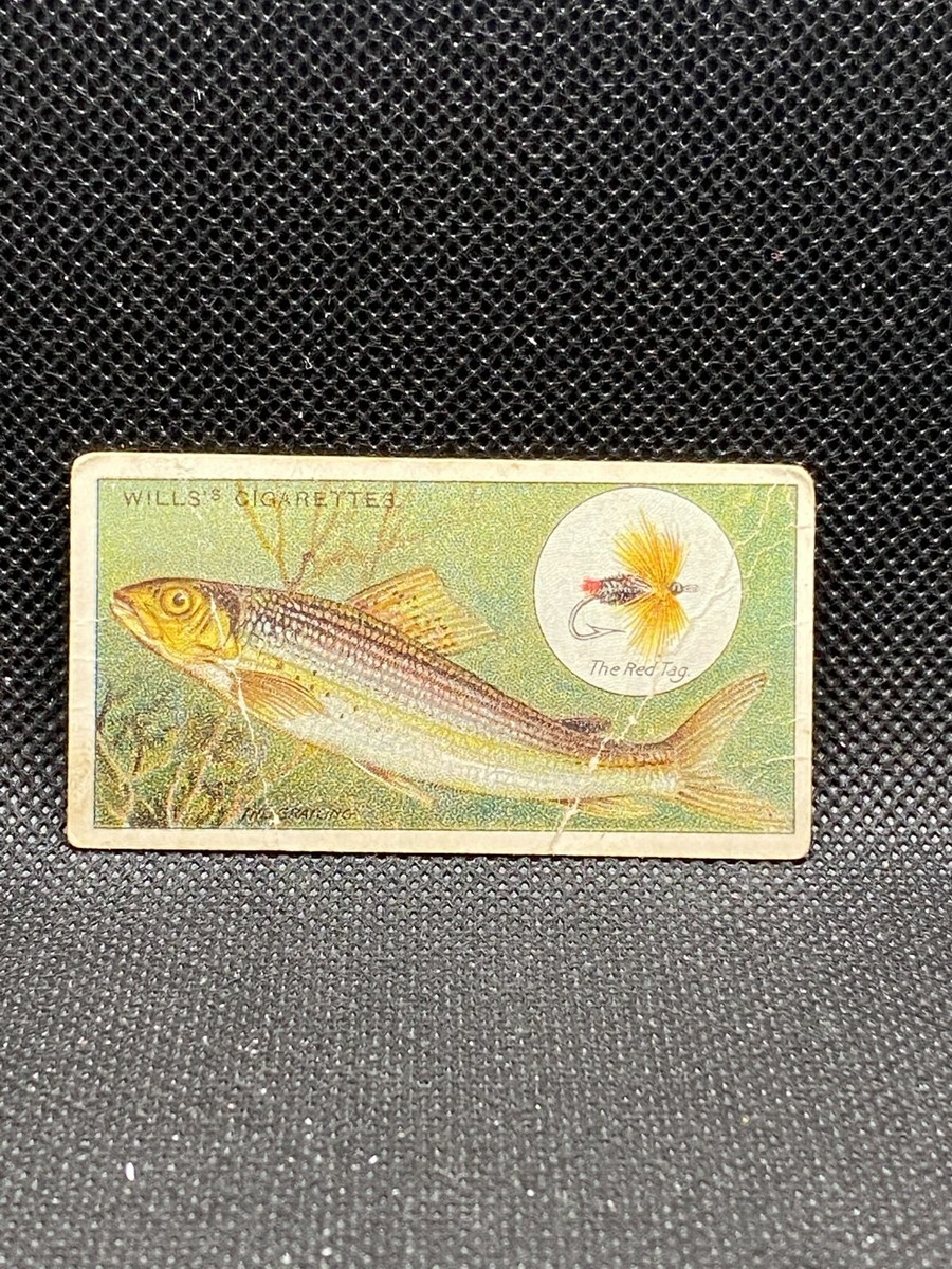 1910 Wills's Cigarettes Cards - Fish & Bait Series Singles - Imperial  Tobacco