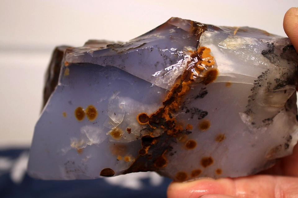 1LB 10oz Blue Ice Polka Dot Agate. Madras Oregon Lapidary Rough eBay