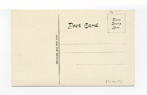 Postal de Halifax MA, hombre de pie junto a un camino de tierra pasando por pinos blancos - Imagen 2 de 2