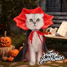 Halloween Cat  Small Dog Vampire Costume Cloak Hat Set Pet Cosplay Party Outfit