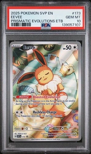 2025 POKEMON SVP EN-SV BLACK STAR PROMO #173 EEVEE PSA 10