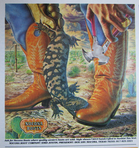 1980 NOCONA Western Cowboy Boots Print Ad ~ GILA MONSTER w/ Alex Ebel Art