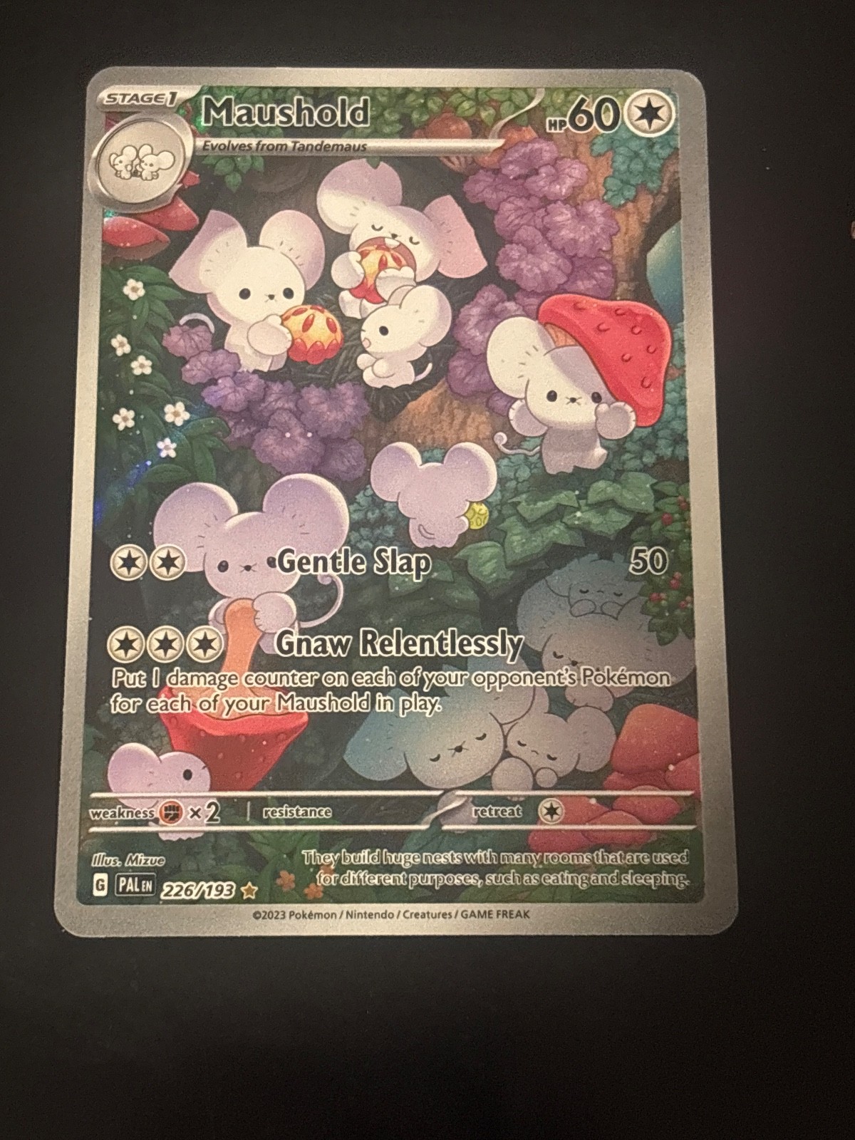 Pokémon TCG Maushold 226/193 Paldea Evolved Illustration Rare Card NM Condition