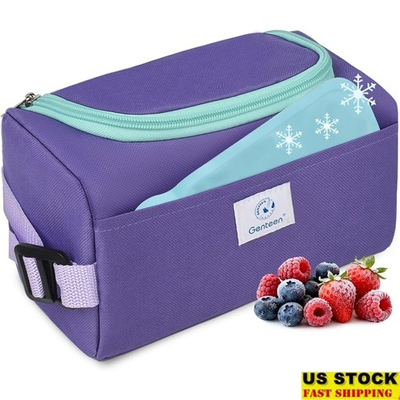 #ad Freezable Snack Bag W Gel Packs Insulated Lunch Cooler Kids Portable On The Go $16.56