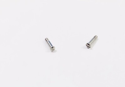 Oakley Metal Plate OX5038 Replacement Temple Hinge Screws Silver