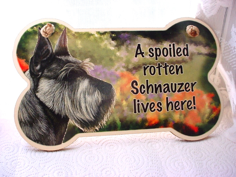 Spoiled Rotten Schnauzer Live Here Sign Highland Graphics Dog Plaque