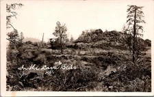 Vintage RPPC Postcard View of the Lava Beds Hawaii c.1907-1929             22680