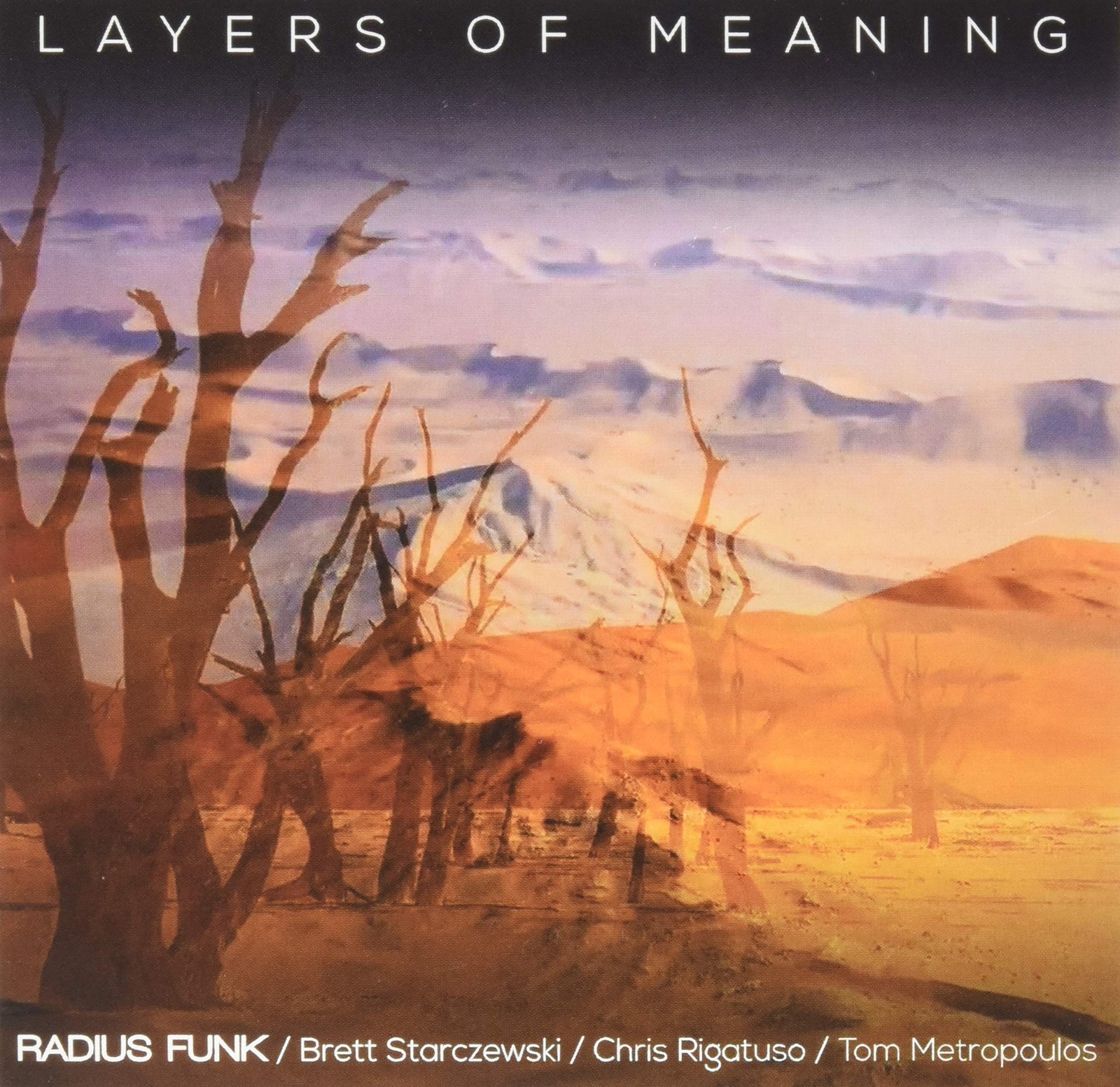 Radius Funk Layers Of Meaning (CD)