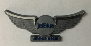 JetBlue Airlines Stick-On Junior Crew Pilot Wings Collectable Kids Souvenir