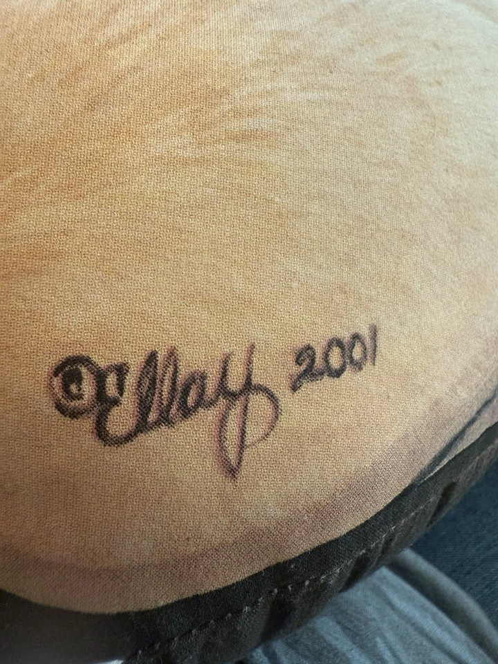 Leslie Anderson Fiddlers Codo Amarillo Laboratorio Sandee The Lab Tope Puerta Prop Foto 4 de 4