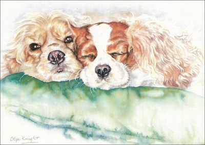 Note Card ~ Cocker Spaniel & Friend ~ Artist Olga Knight