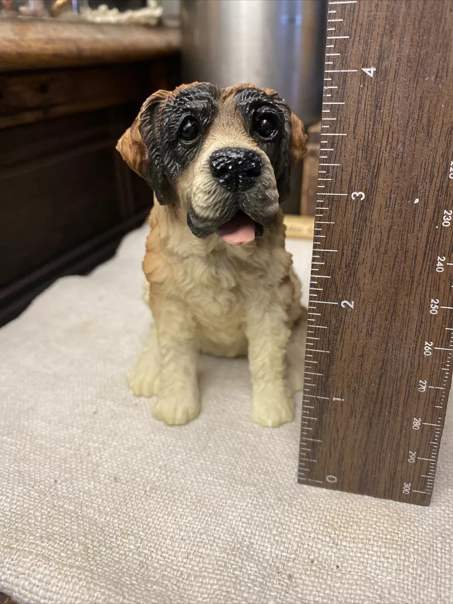 Shaggy dog store rescue