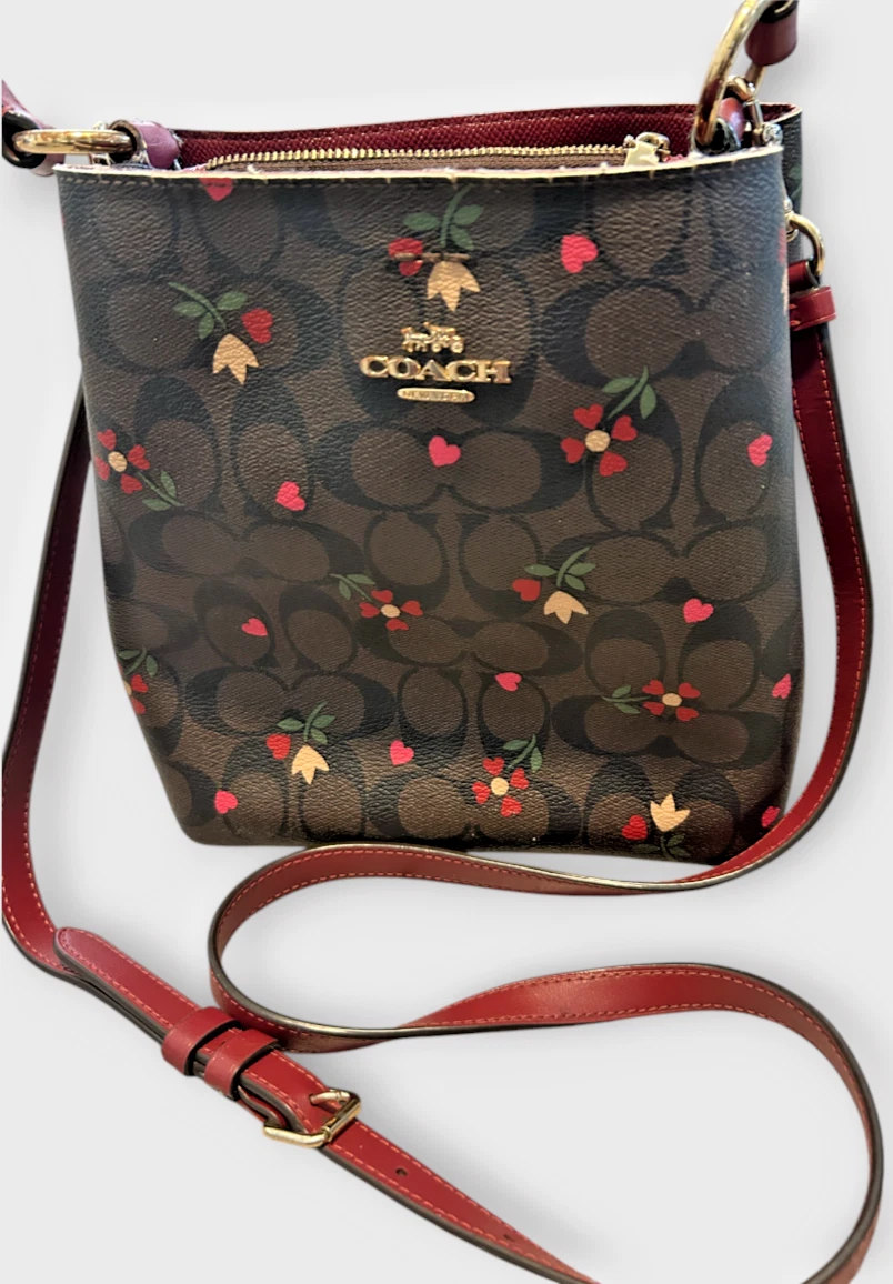 Borsa secchiello Coach piccola città San Valentino stampa cuore firma tela borsetta