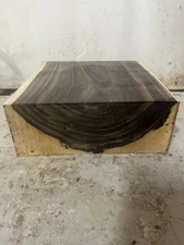 Black Walnut  Blank/platter Blanks/turning Wood (1232)