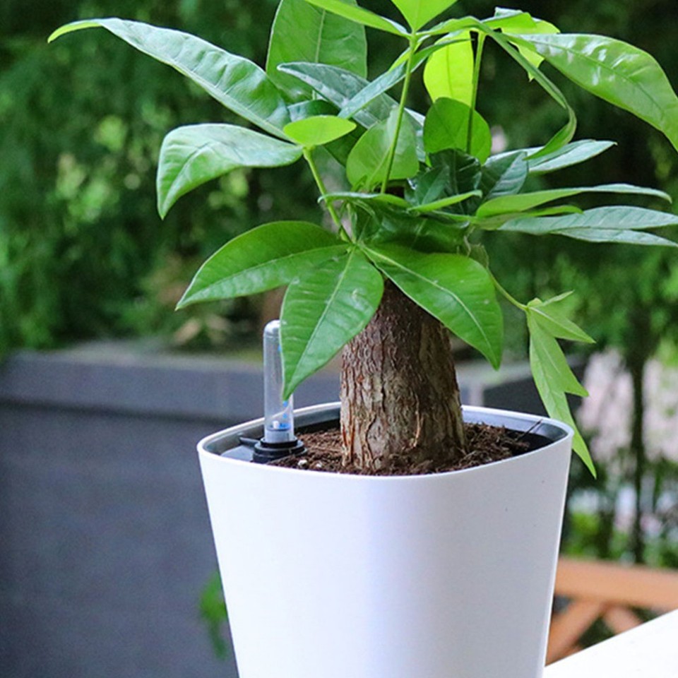 2 Count Water Level Indicator Plant Watering Device Flowerpot Moisture ...