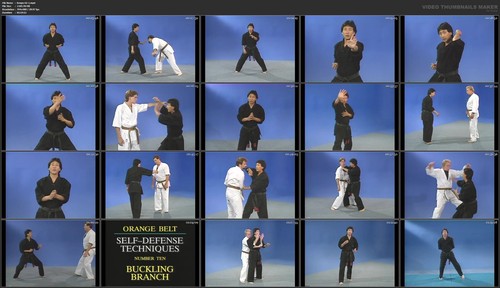 American Kenpo Self-Defense starring Jody Sasaki (21 DVD Set) - Picture 3 of 10