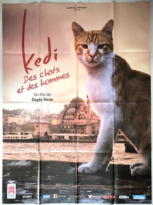 KEDI Ceyda Torun Cats and men ORIGINAL french LARGE movie poster