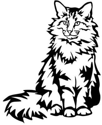 NORWEGISCHE WALDKATZE Aufkleber -sticker - Wakldkatze Autoaufkleber - Kontur #08