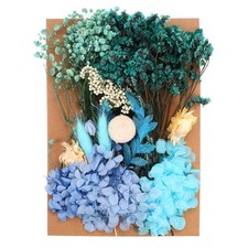 Pressed Flowers Bulk Dried Flowers Natural Pressed Flowers Leaves Blue